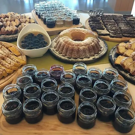 Otel Morina Palace Dhërmi