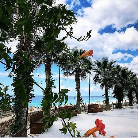 Otel Morina Palace Dhërmi