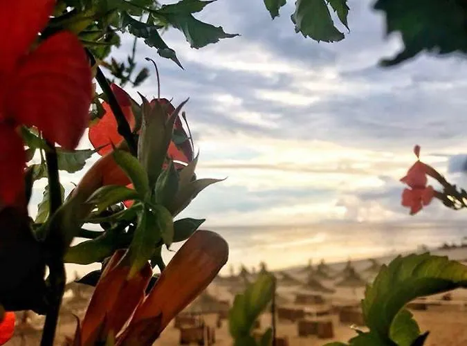 Morina Palace 5* Dhermi